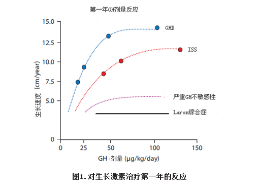 对生长激素治疗第一年的反应